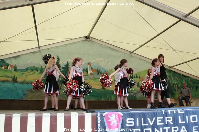 Subject(Tag der Spielleute 3) IMG 6926